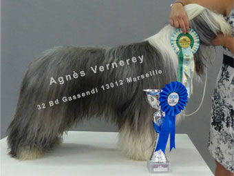 Agnès VERNEREY 32 Bd Gassendi 13012 Marseille