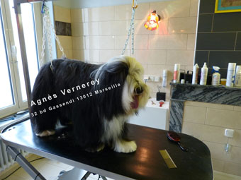 Agnès VERNEREY 32 Bd Gassendi 13012 Marseille